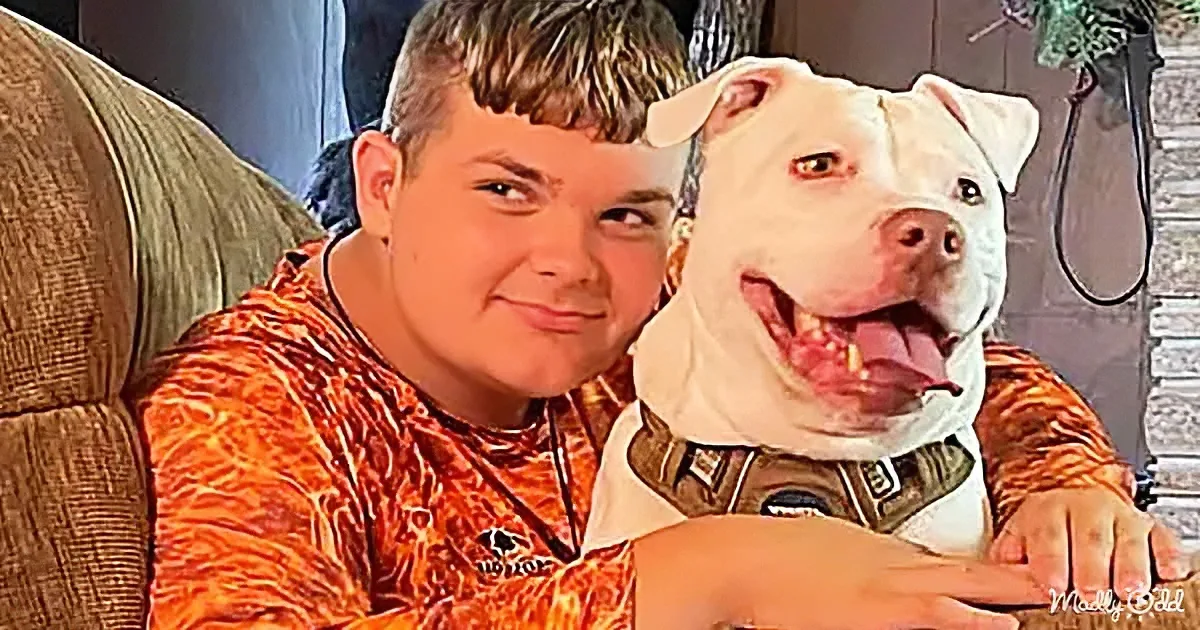A person in an orange patterned shirt sits with a white pit bull dog, both smiling, in a cozy indoor setting.