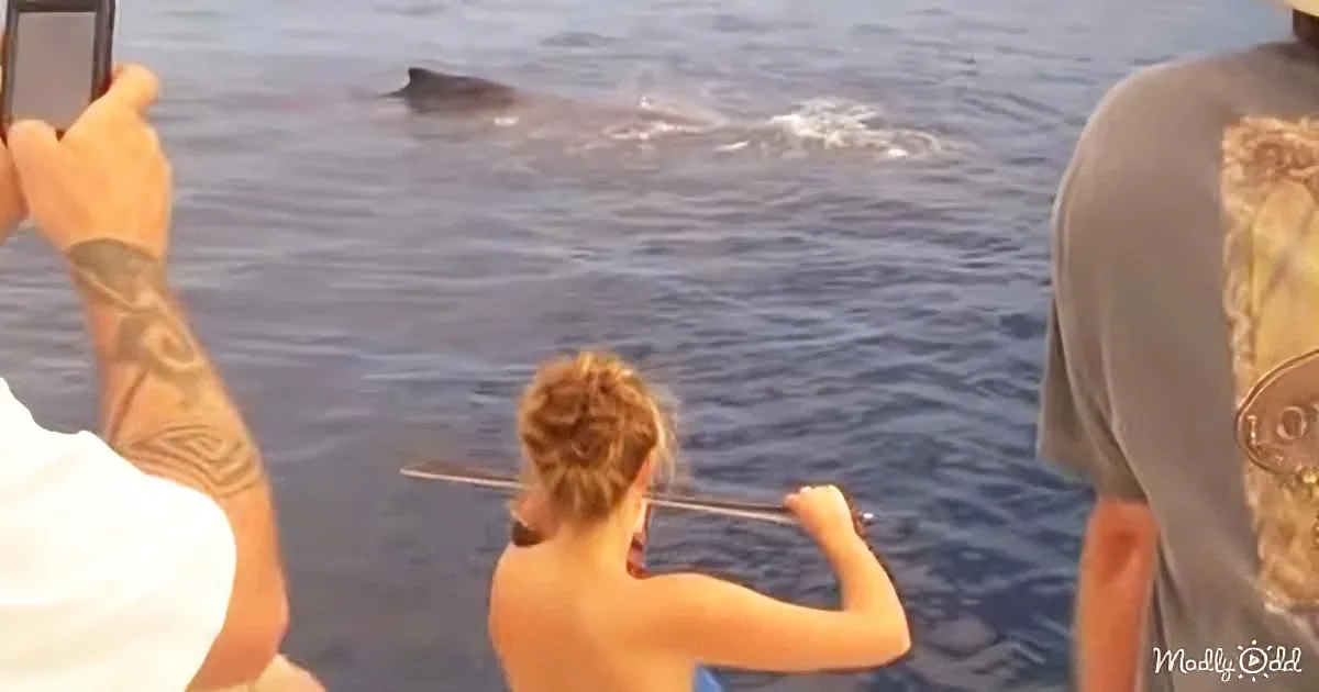 A person takes a photo of a whale surfacing in the ocean while others watch.