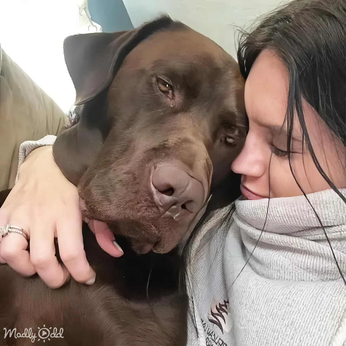 A woman hugs a large brown dog, both appearing relaxed and affectionate.