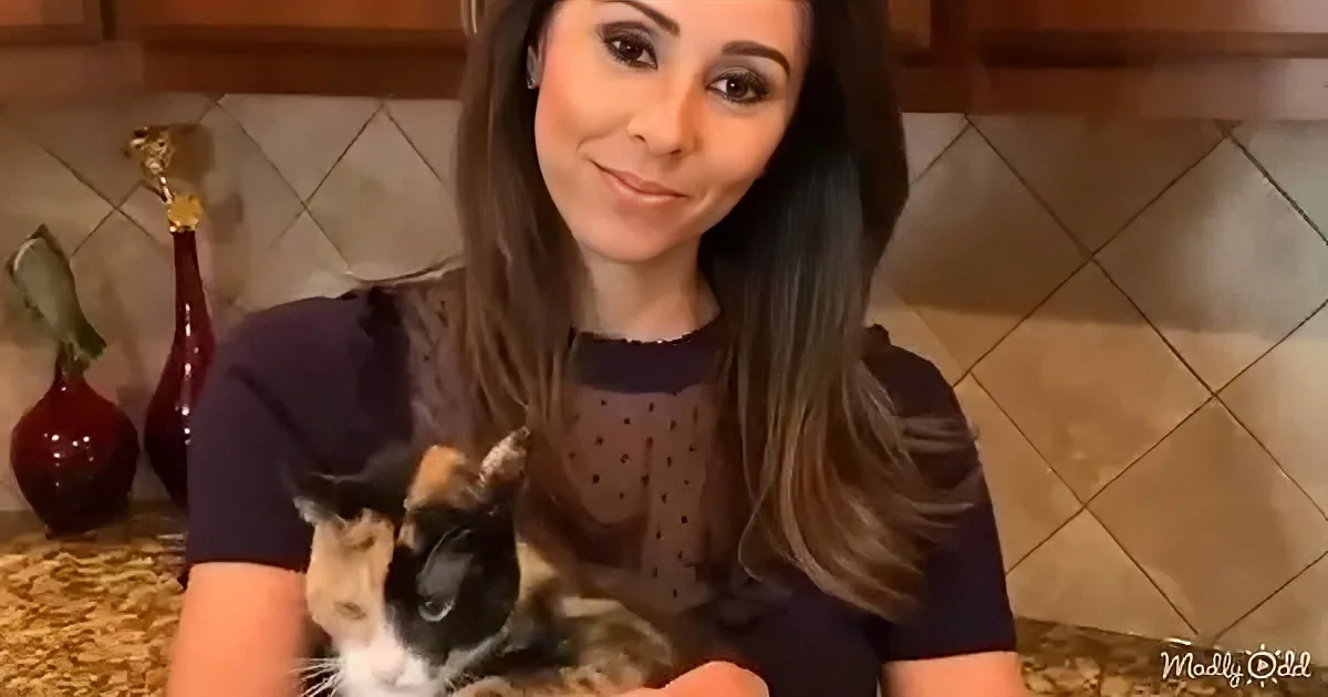 A woman with long hair holds a calico cat, smiling in a kitchen setting with tiled walls and decorative vases.