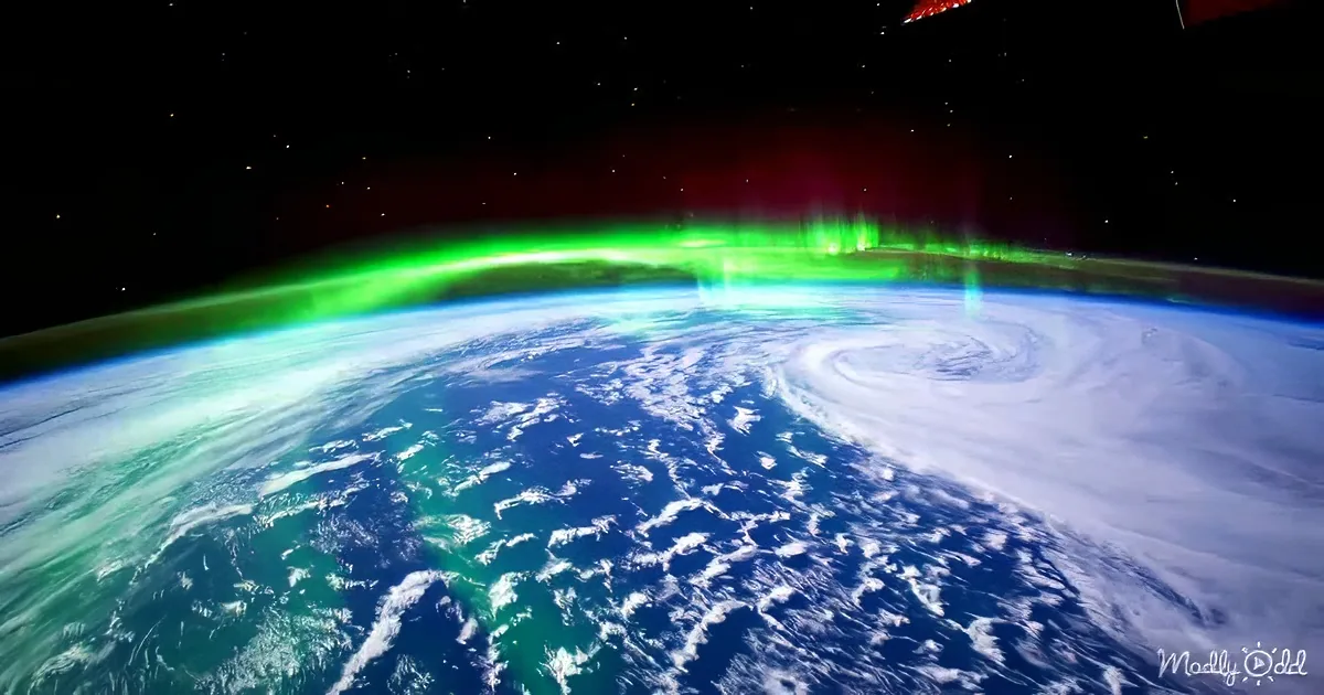 Aurora Borealis lights up the night sky over Earth's horizon from space.