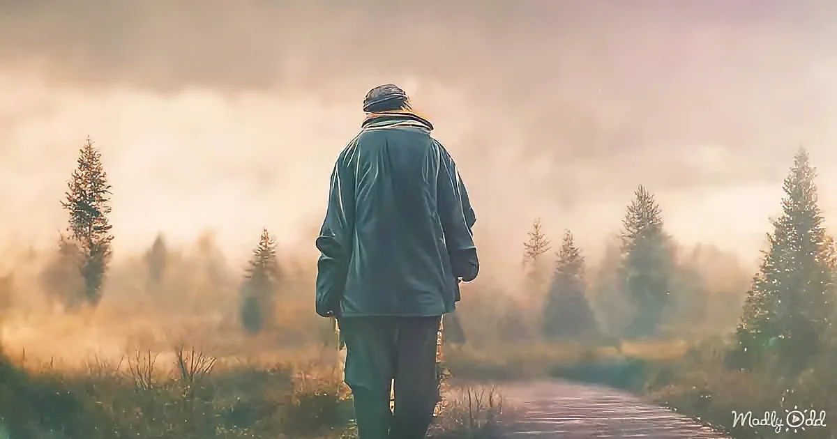 A person in a coat walks through a misty forest, surrounded by tall trees.