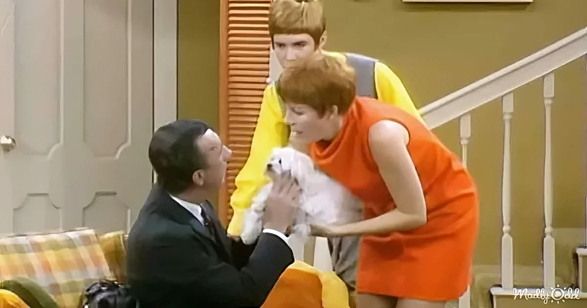 The Carol Burnett Show