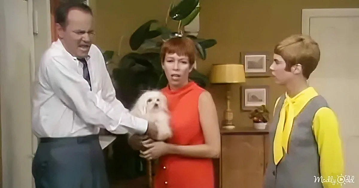The Carol Burnett Show