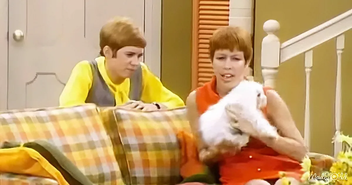 The Carol Burnett Show