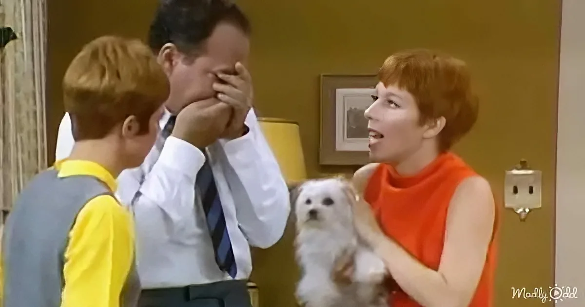 Carol Burnett Adopts a Puppy and Hilarity Ensues From Harvey