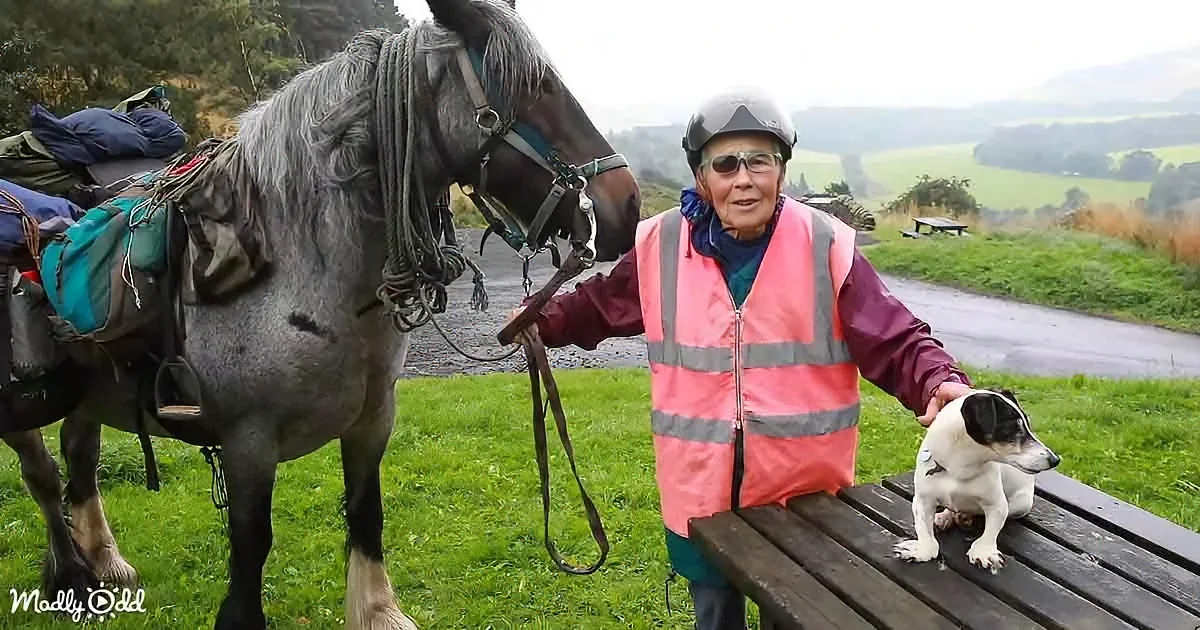 An elderly woman in a safety vest stands with a horse and a dog on a bench in a scenic outdoor setting.