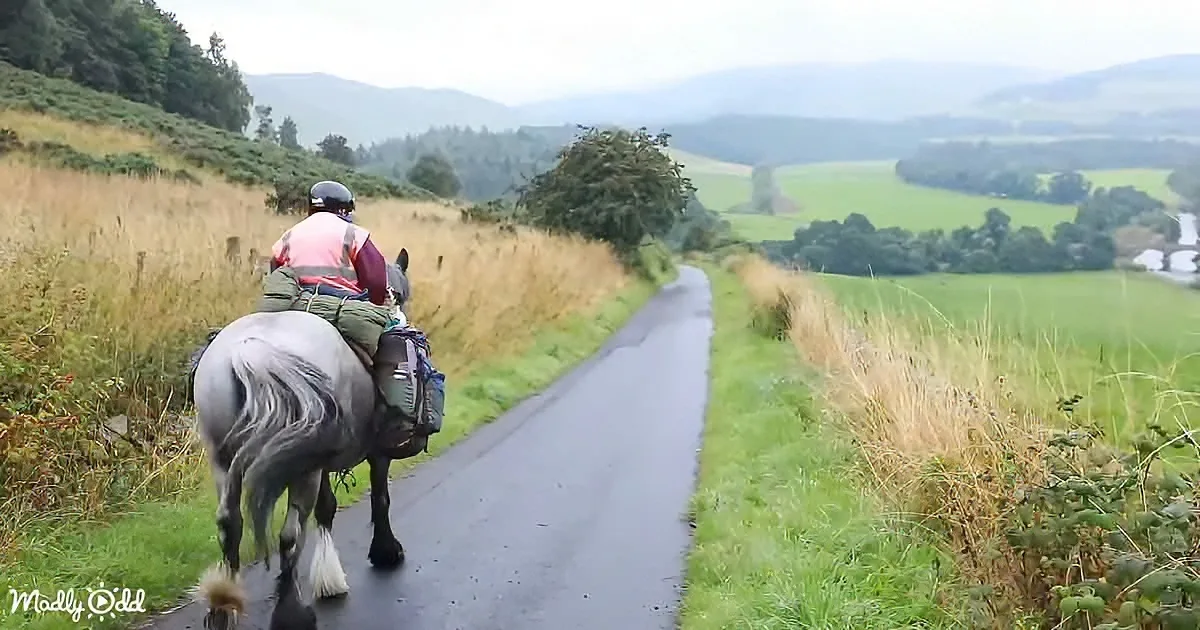 A person rides a gray horse on a wet road, surrounded by lush greenery and distant hills.