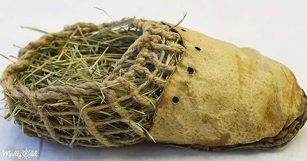 A rope-bound bundle with dried grass and a textured, possibly leather-like material.