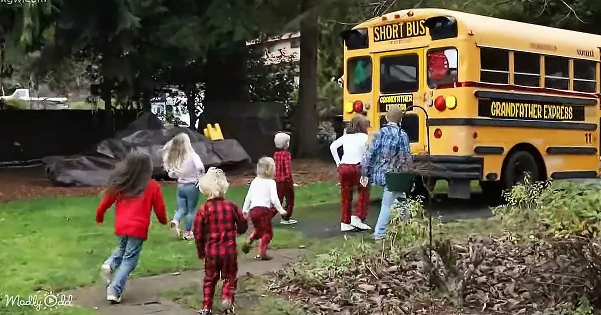 Children in red plaid and jeans run towards a yellow school bus labeled "Grandfather Express" in a wooded area.