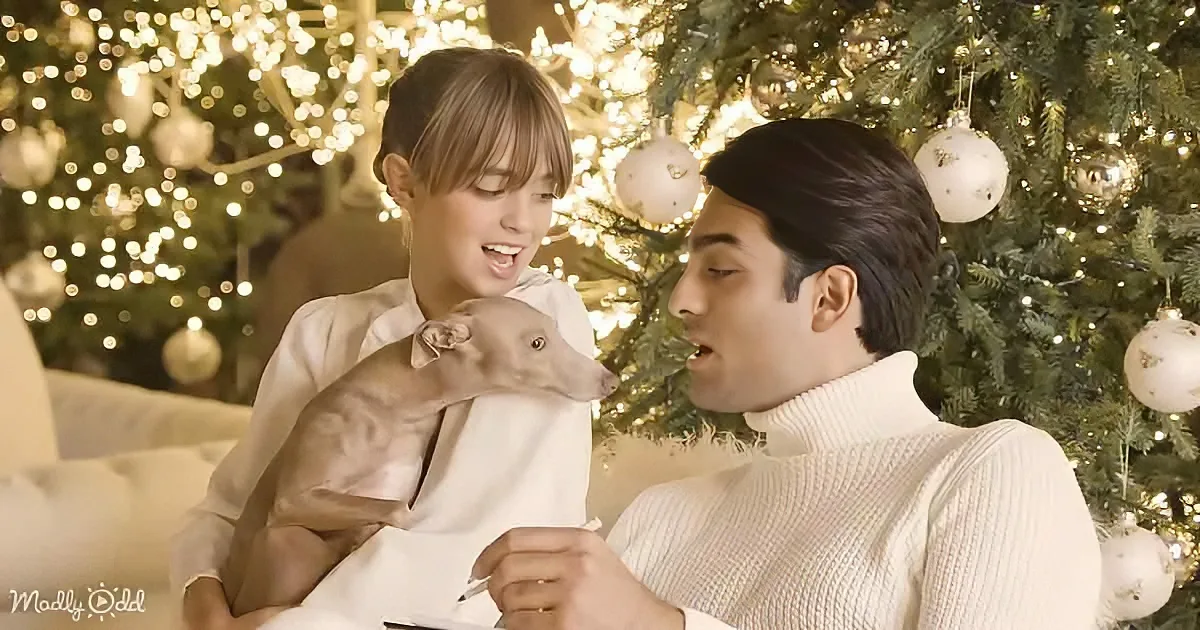 A woman holds a small dog while a man in a white sweater looks on, both in front of a Christmas tree.