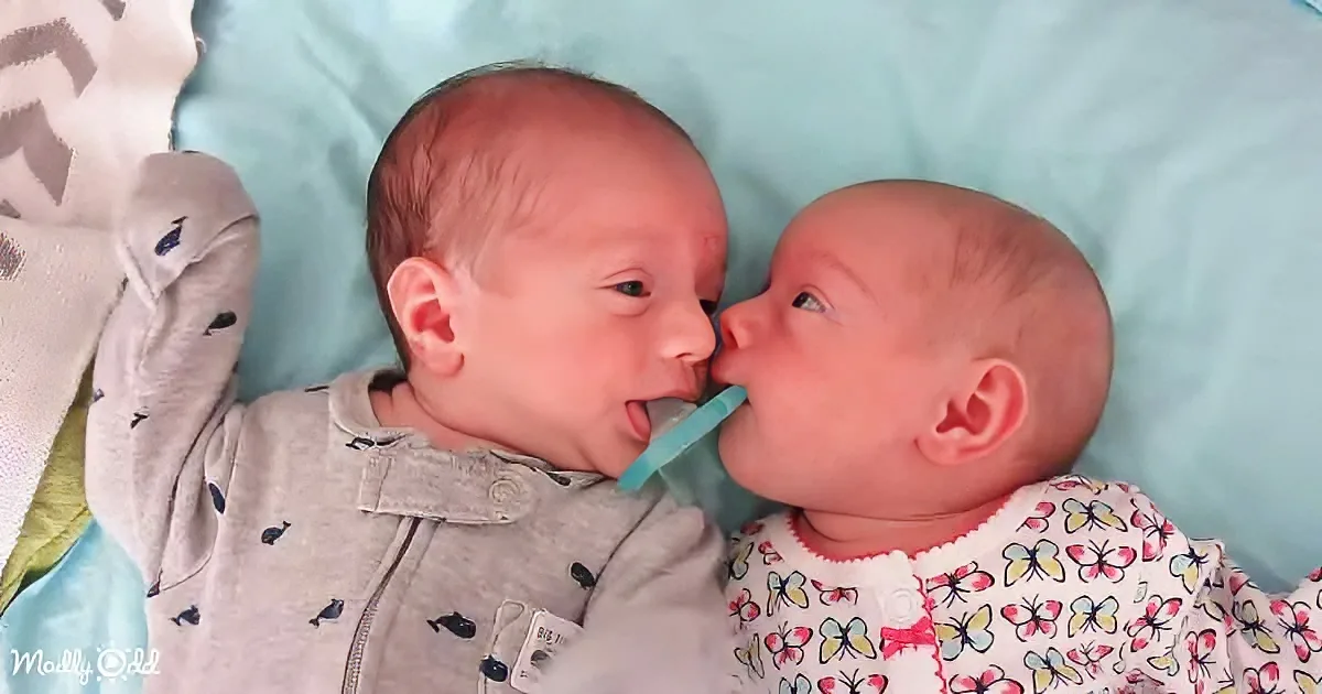 Two newborn babies, one in a grey onesie and the other in a white butterfly onesie, are lying close together on a blue...