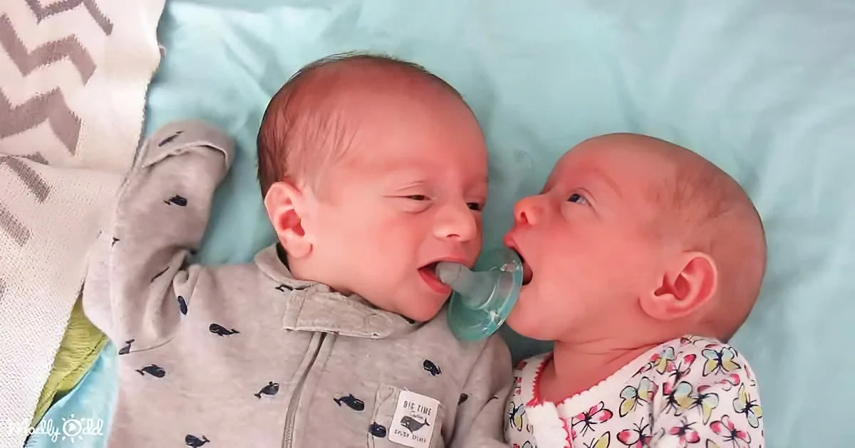 Newborn Twins Battle Over a Pacifier With Adorably Funny Results