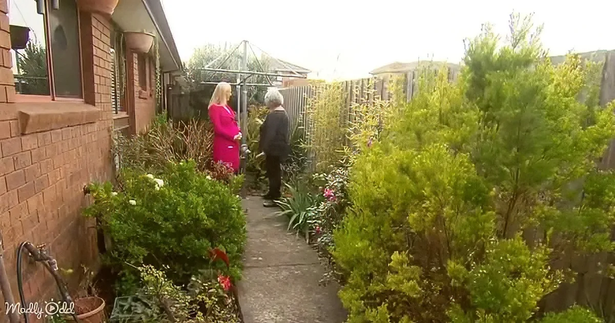 A woman in a pink dress stands on a pathway surrounded by greenery and a brick house.