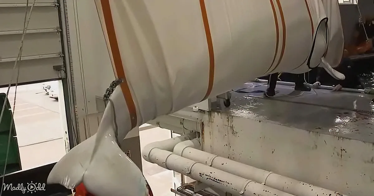 A large white sail with orange stripes is attached to a structure with pipes and a chain.
