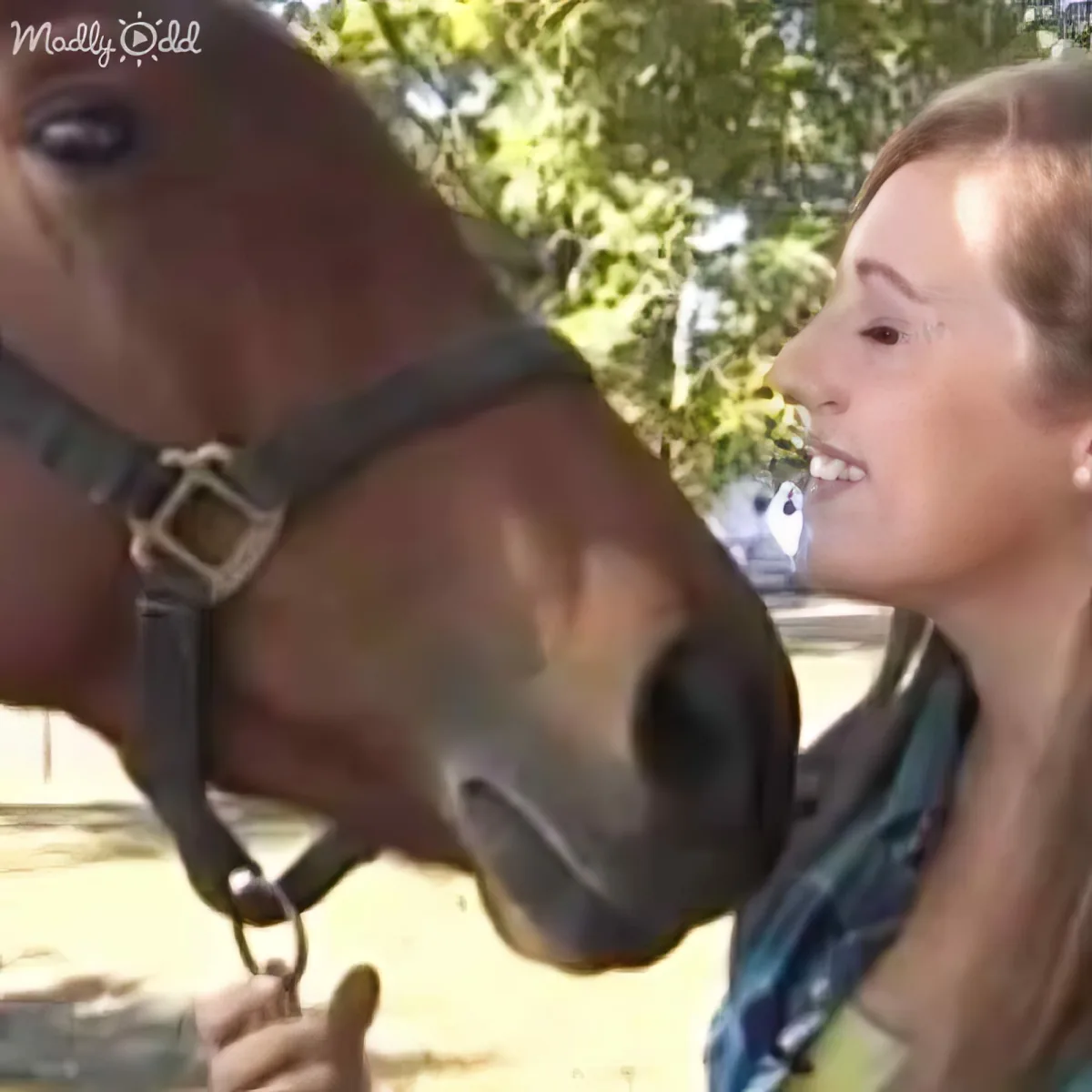 A woman is feeding a horse a treat, with the horse's head close to her face.