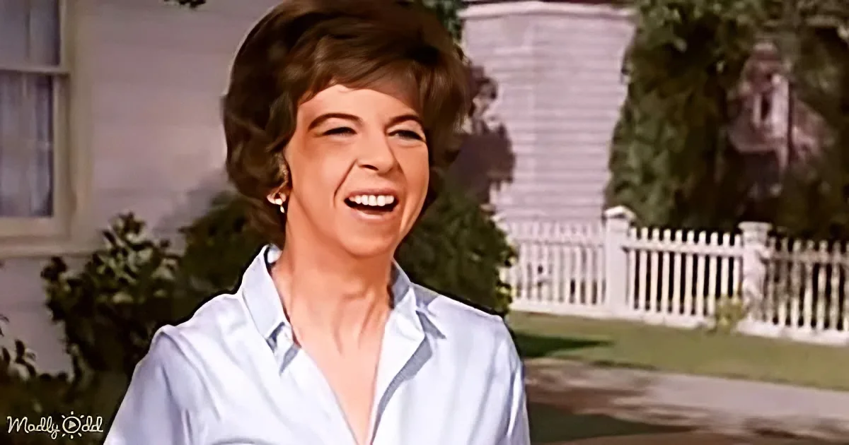 15 Laugh-out-Loud Moments From Tv's Nosy Neighbor, Mrs. Kravitz