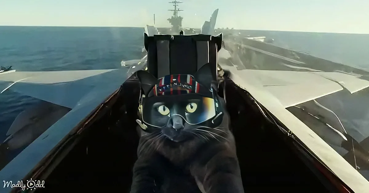 A cat wearing aviator goggles sits in a fighter jet cockpit, gazing forward with a ship in the background.