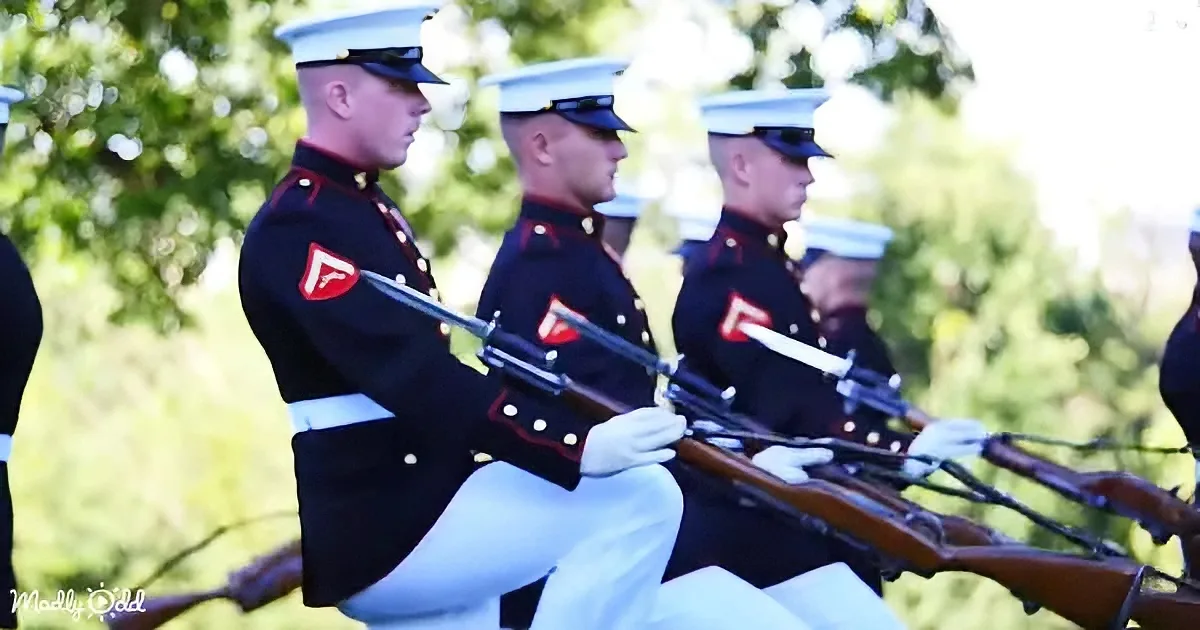 24 Marines Give Superbly Synchronized Rifle Performance