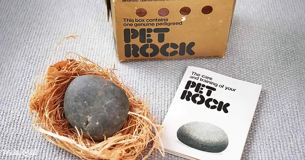 A pet rock in a nest with a box and care manual.