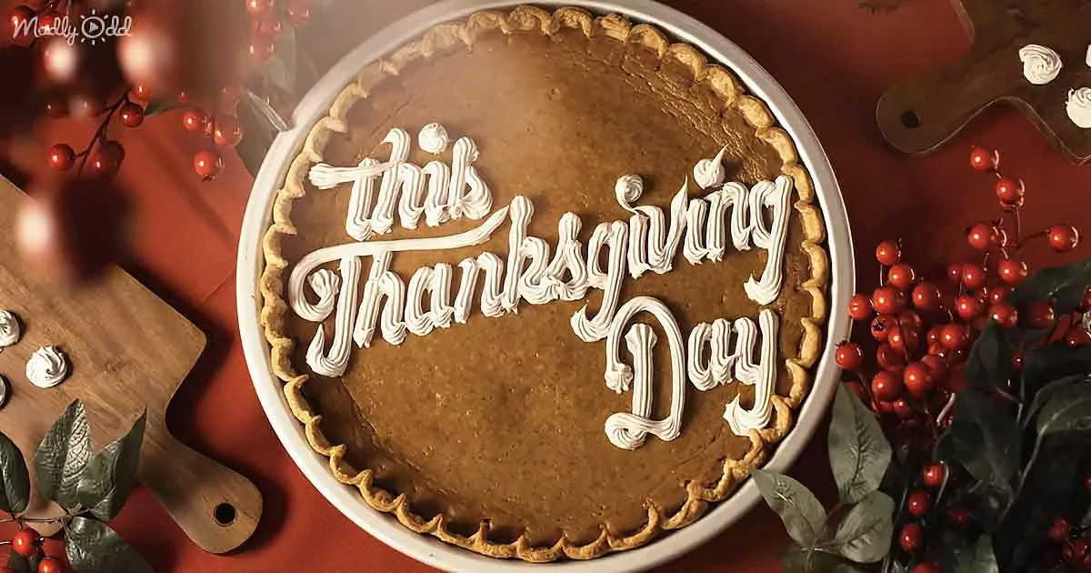 'The Thanksgiving Song' Is Pure Joy - We Need More Like It!