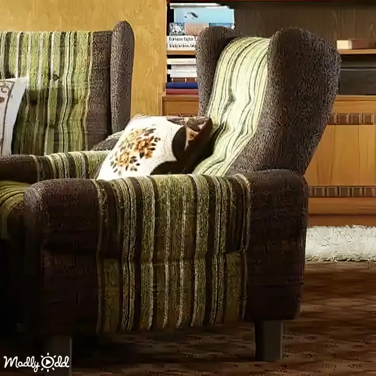 A cat lounges on a striped armchair with a floral pillow, in a cozy room with a bookshelf and wooden furniture.
