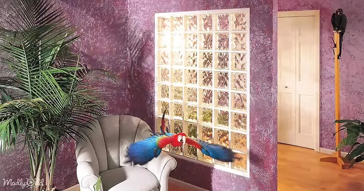 A vibrant macaw parrot perches on a chair, facing a glass block wall with a purple textured wall behind.