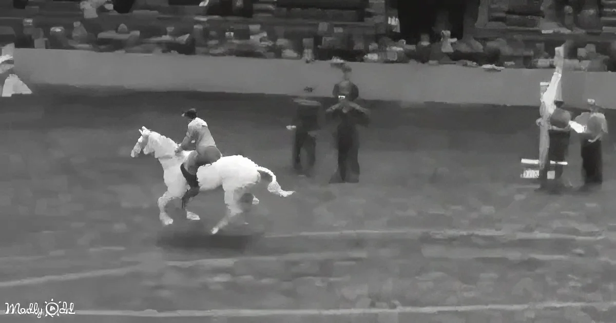 A rider on a white horse gallops across a dirt arena, with spectators in the background.