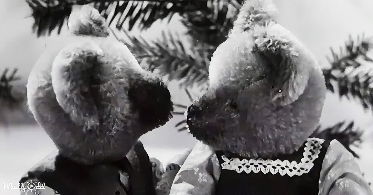 Two teddy bears wearing winter hats and scarves are sitting on a snowy branch.