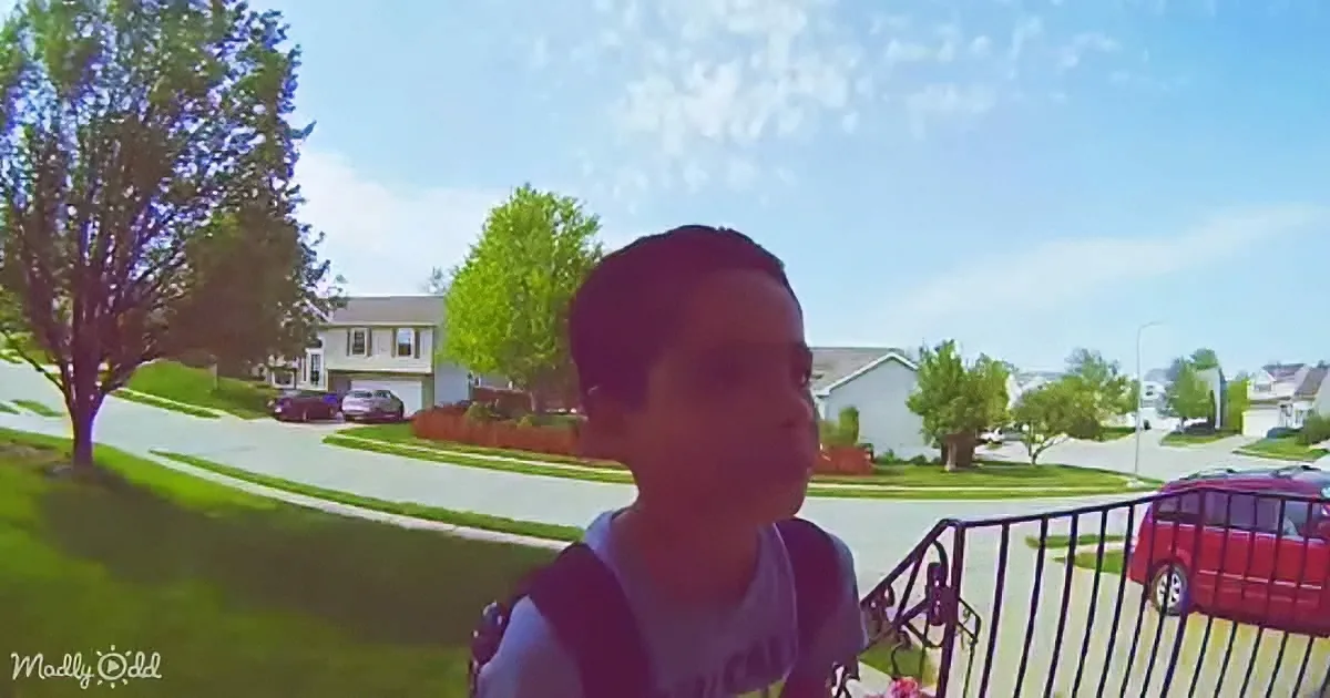 A person stands on a porch railing, looking out at a suburban neighborhood with houses, trees, and parked cars.