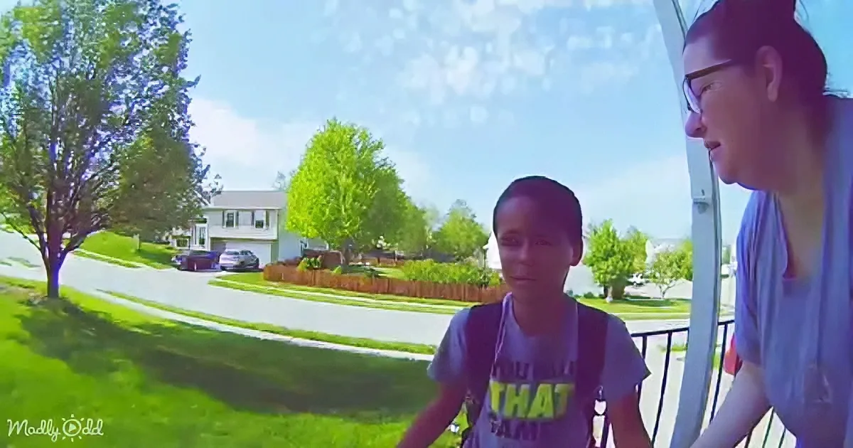 Boy Terrified After School Bus Driver Forces Him off at Wrong Stop
