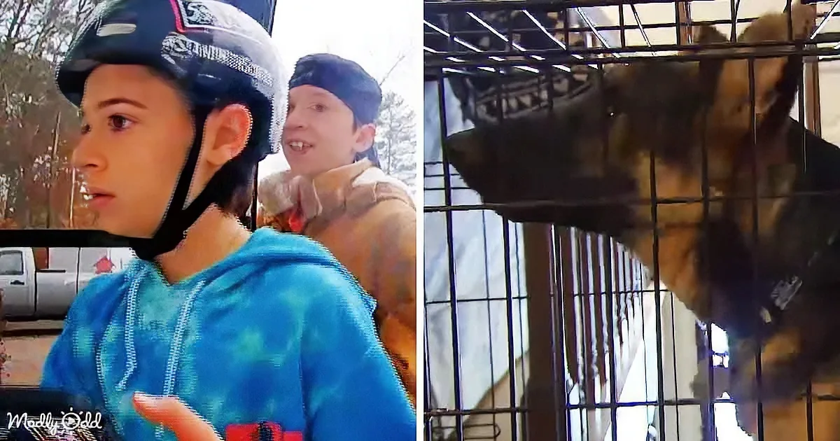 Middle Schoolers Save Dogs From Blazing Home