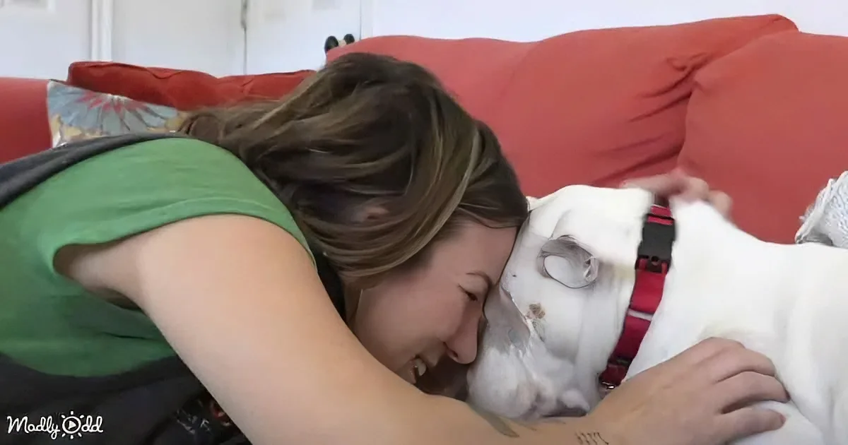 A woman in a green shirt is lying on a red couch, cuddling and smiling with a white dog wearing a red harness.