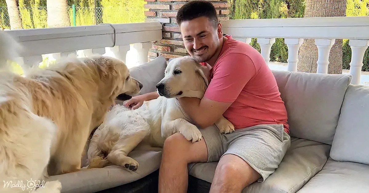 A man in a pink shirt hugs a white puppy while another dog sits nearby on a couch.
