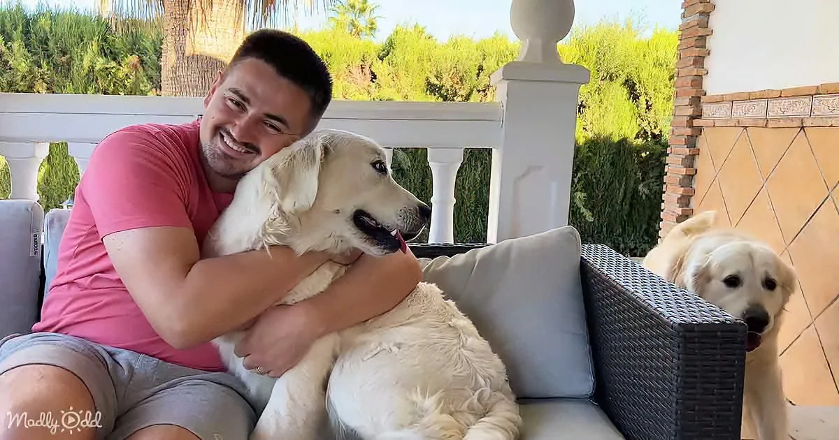 A man in a pink shirt hugs a large white dog on a patio with another dog nearby.