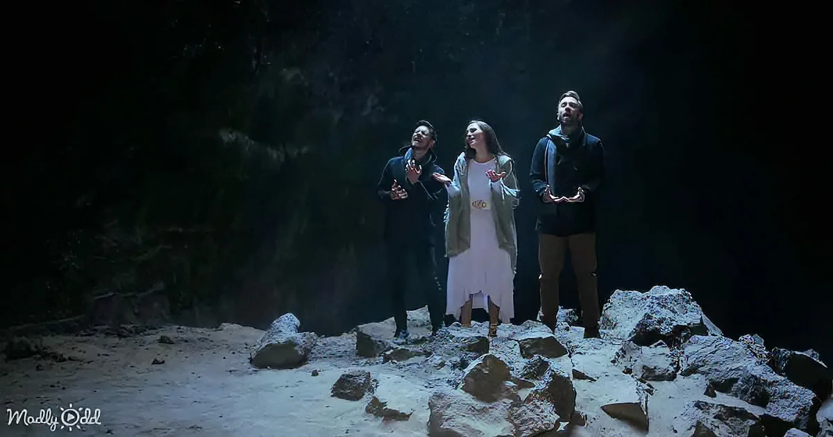 Peter Hollens and The Hound + The Fox