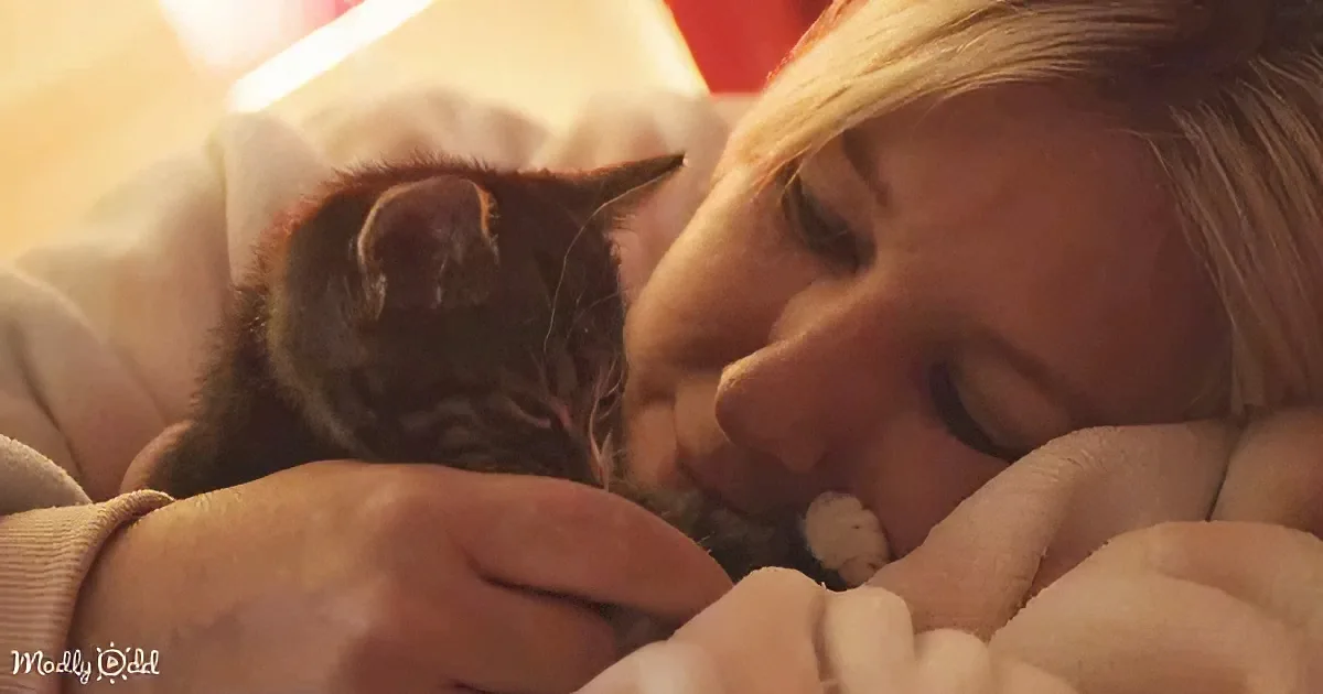 A person gently holds and kisses a small, dark kitten nestled in their arms.