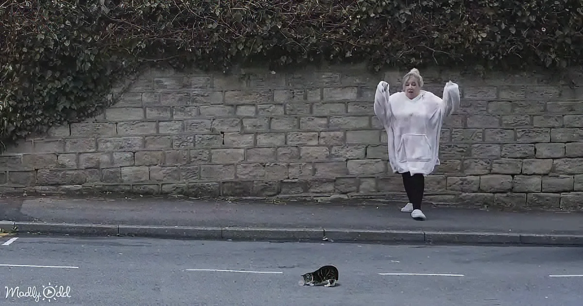 A person in a white fluffy outfit stands on a street, arms raised, with a cat lying on the ground nearby.