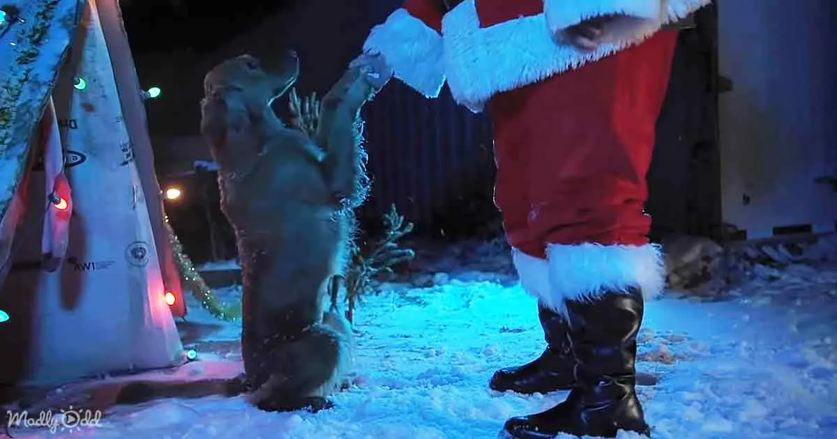 A beaver in a snowy scene reaches up to touch Santa's hand, surrounded by festive decorations.