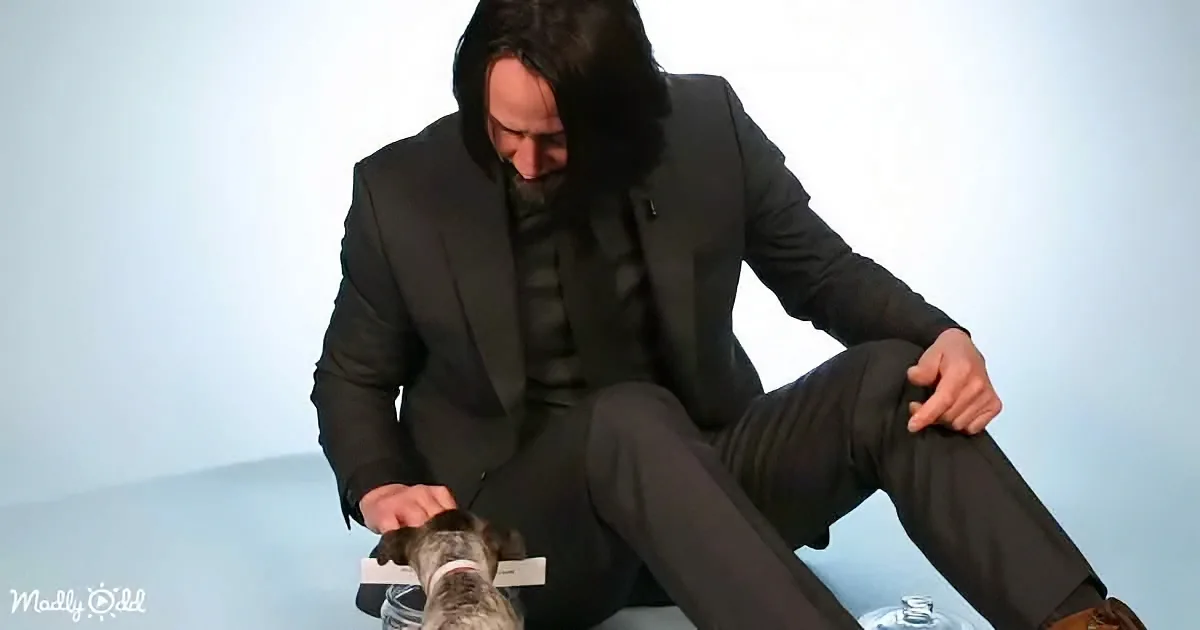 Puppies and Keanu Reeve
