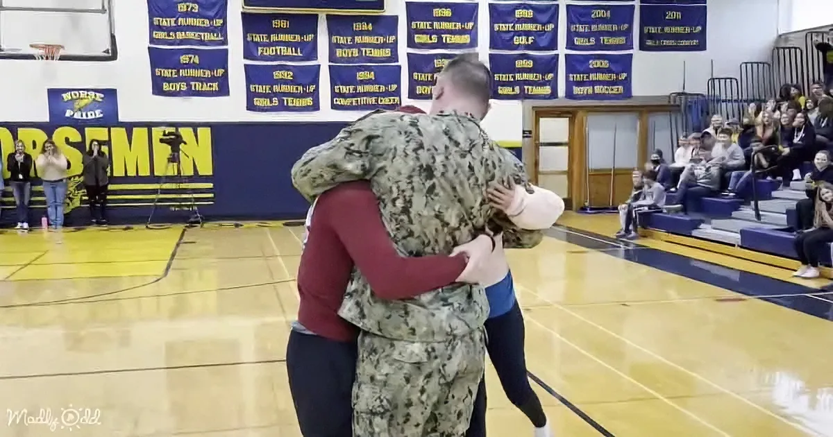 Surprise Military Homecoming Brings out the Tears at School
