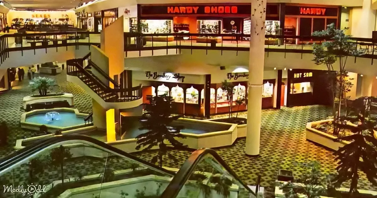 Mall Stores We Loved That Went out of Business