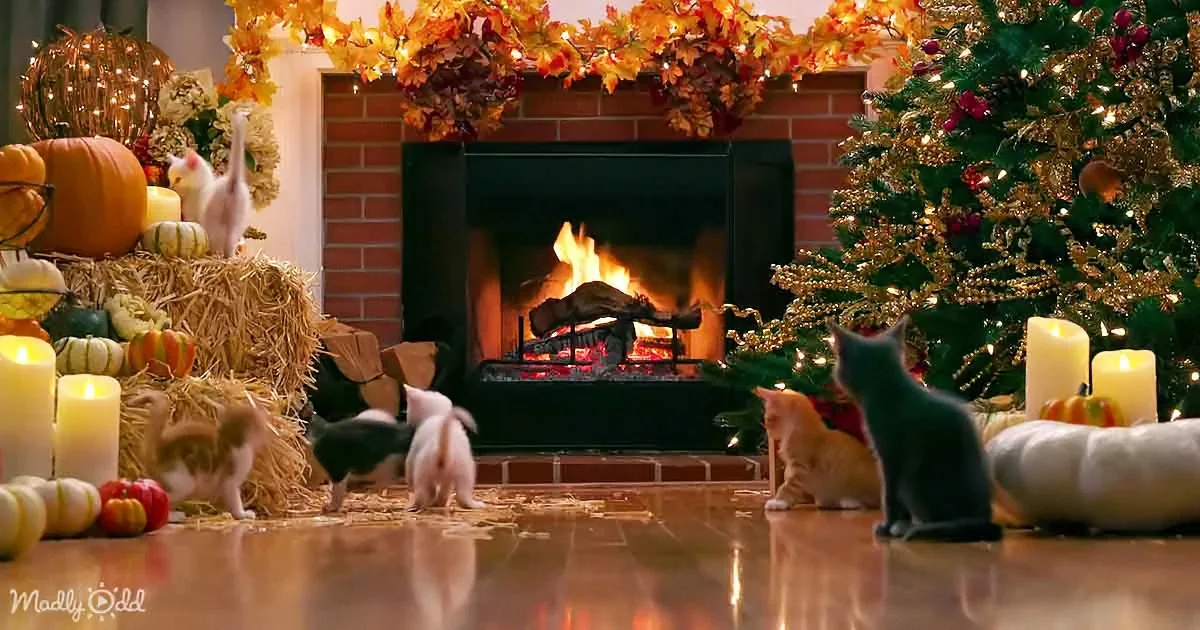 Cats gather around a cozy fireplace with autumn decorations and a Christmas tree.