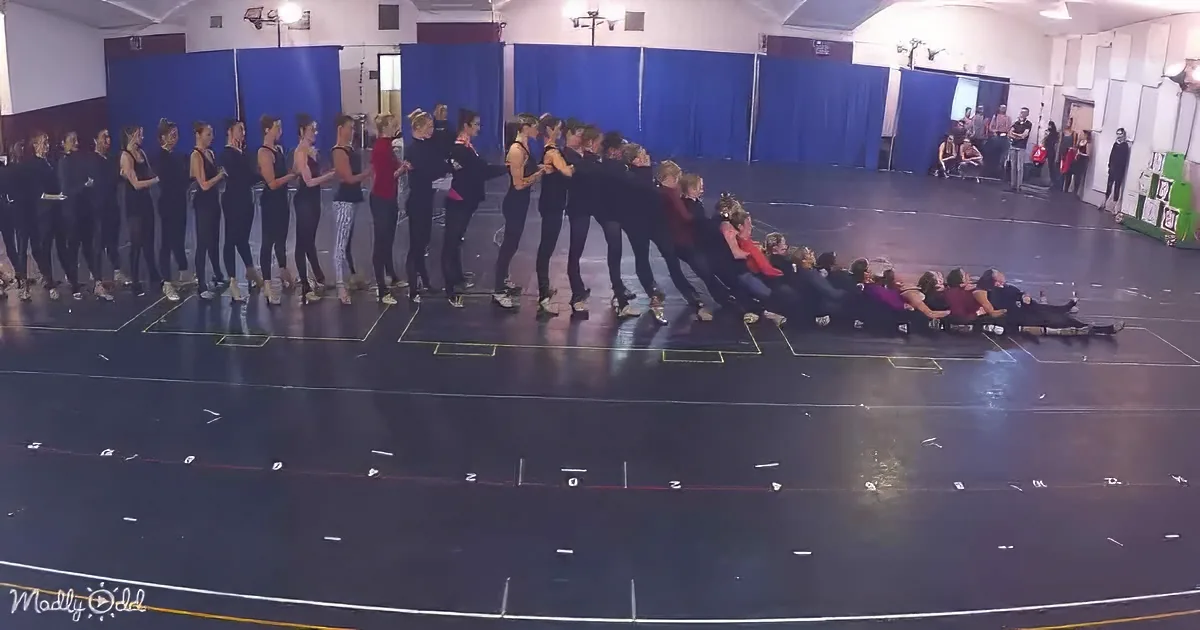 A group of dancers in black outfits form a line on a marked floor in a studio.