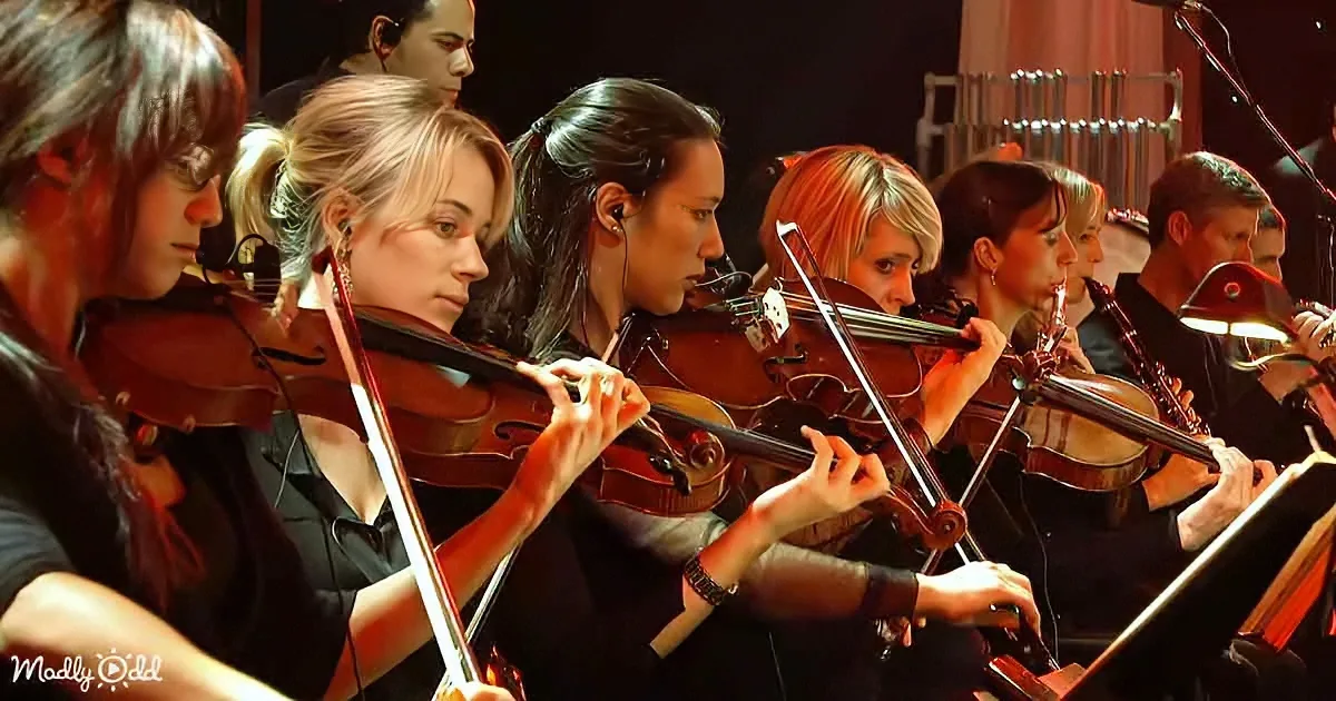 Violinists in black attire play their instruments in a row, illuminated by stage lighting.
