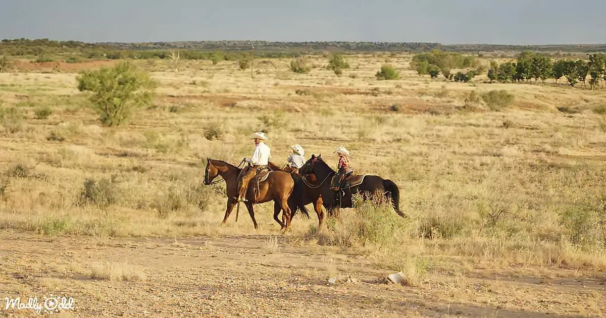 Three riders on horses in a dry, open landscape with sparse vegetation.