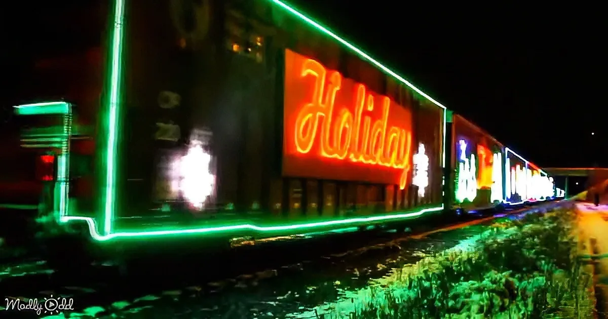 A festive train adorned with colorful lights and "Holiday" sign glows brightly at night.