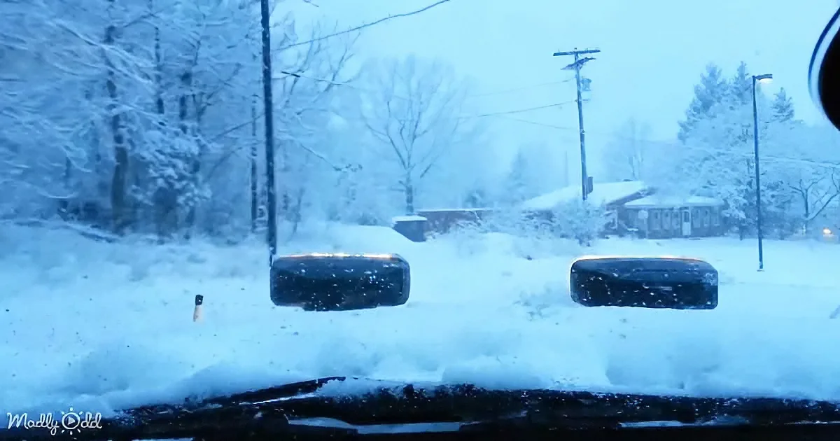 Snow-covered car windshield with rearview mirrors and snowy landscape beyond.