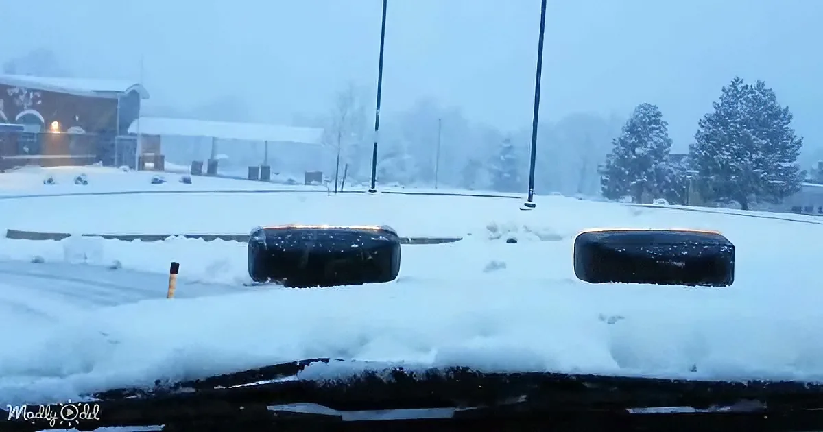 Snow-covered tires in a parking lot with a building and trees in the background.