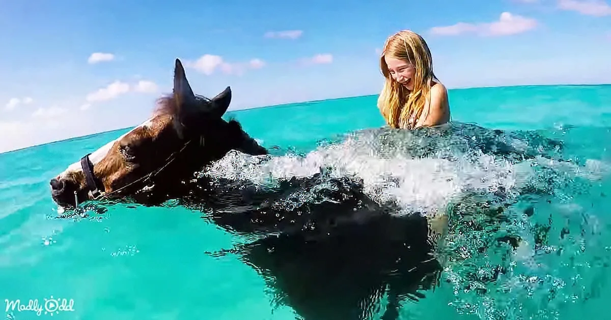 A horse and a person are swimming in clear turquoise water, creating splashes.